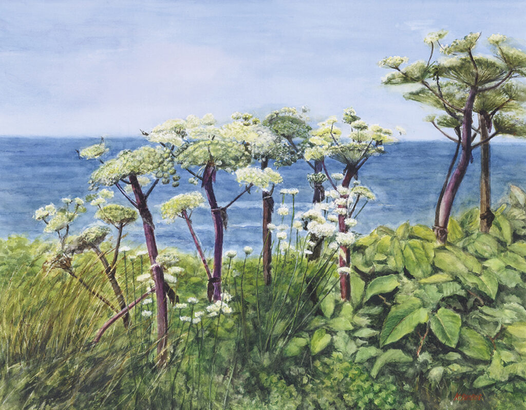 海風